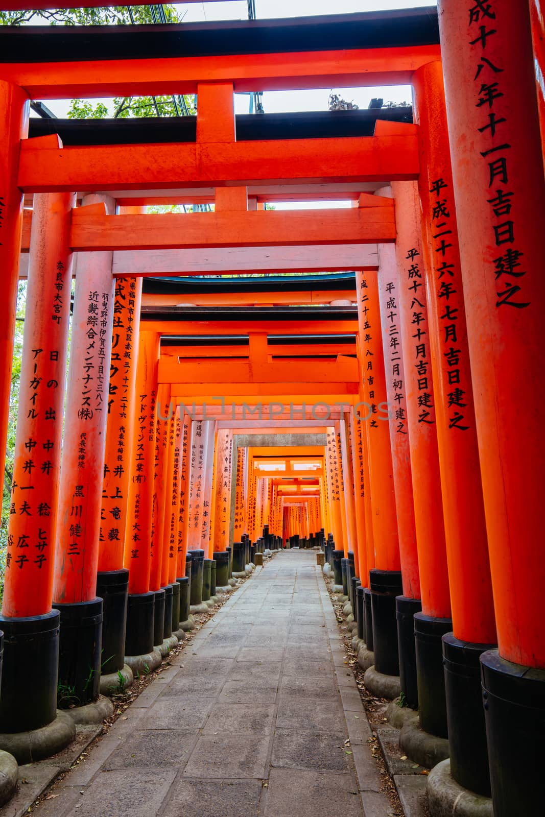 Red Tori Gate at Fushimi Inari Shrine in Kyoto, Japan. One of the largest tourist attractions in Japan