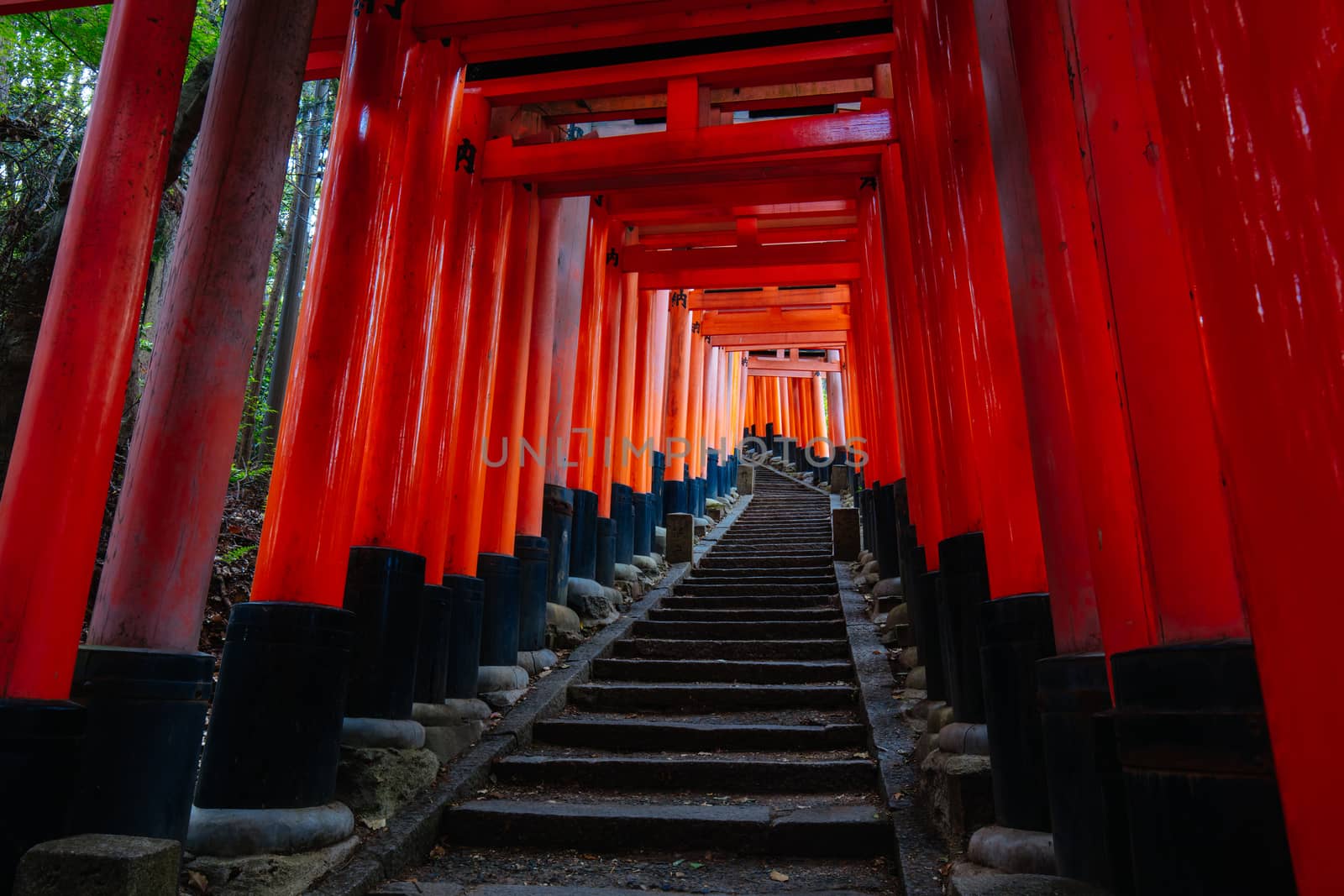 Red Tori Gate at Fushimi Inari Shrine in Kyoto, Japan. One of the largest tourist attractions in Japan