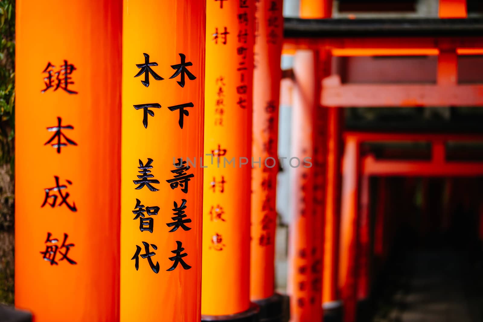 Red Tori Gate at Fushimi Inari Shrine in Kyoto, Japan. One of the largest tourist attractions in Japan