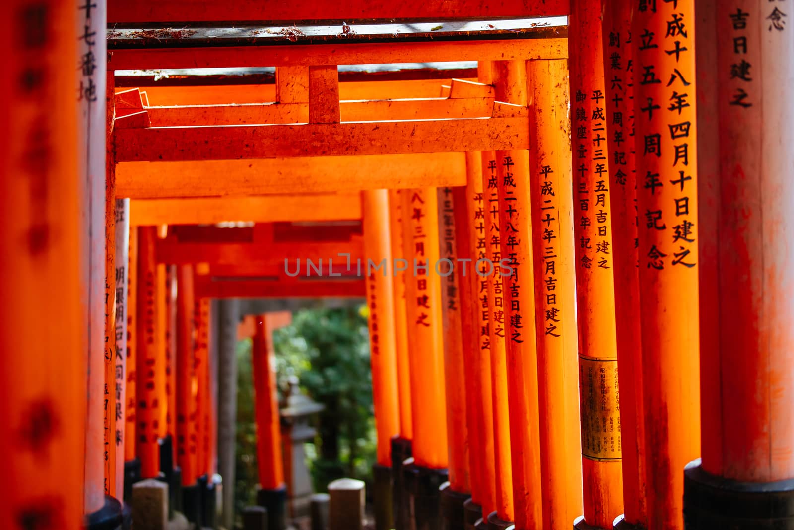 Red Tori Gate at Fushimi Inari Shrine in Kyoto, Japan. One of the largest tourist attractions in Japan