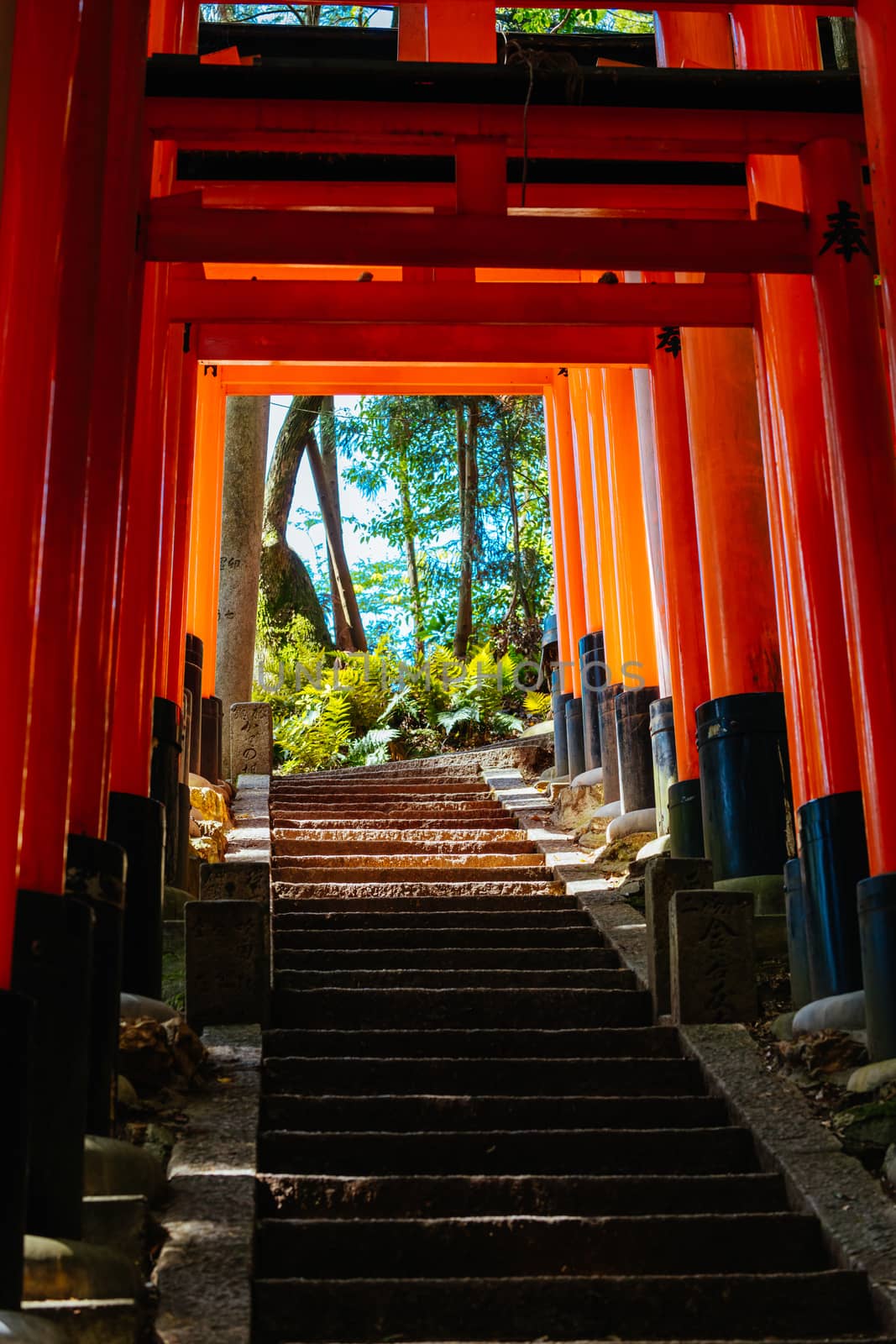 Red Tori Gate at Fushimi Inari Shrine in Kyoto, Japan. One of the largest tourist attractions in Japan