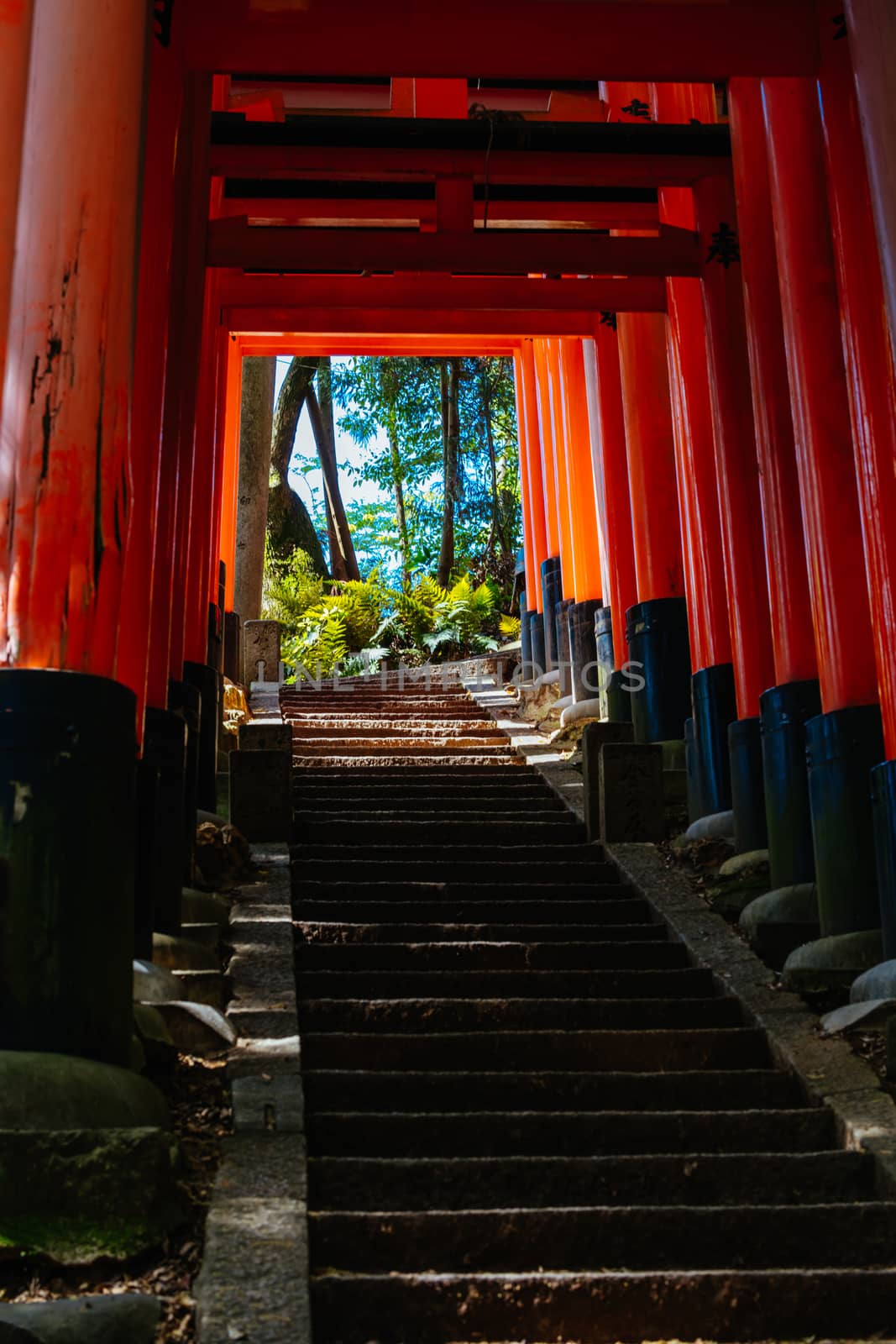 Red Tori Gate at Fushimi Inari Shrine in Kyoto, Japan. One of the largest tourist attractions in Japan