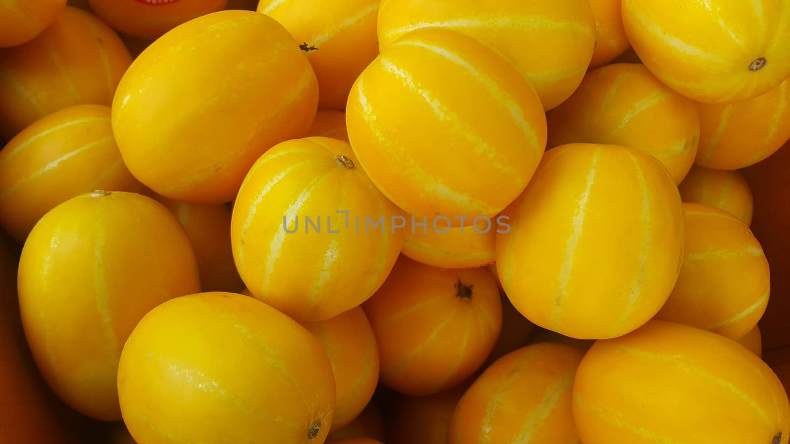 Fresh yellow melon or Canary melon or winter melon pile placed in market for sale. The Canary melon or winter melon is a large, bright-yellow elongated melon with a pale green to white inner flesh.
