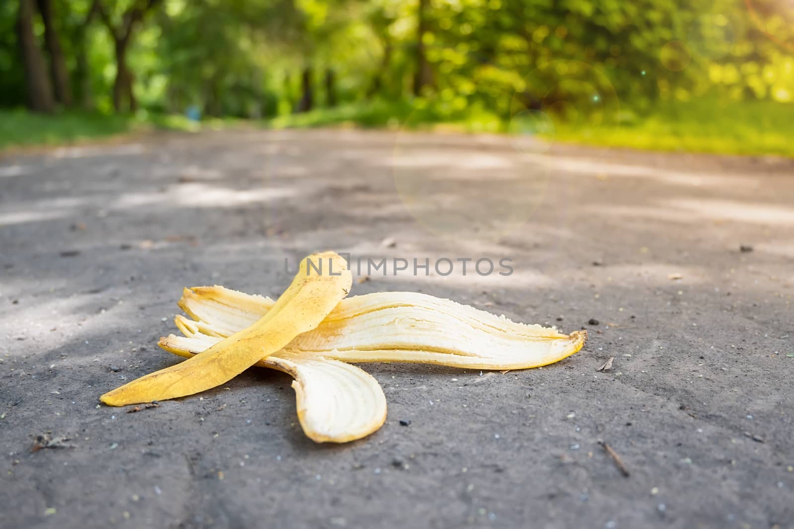 a banana peel lies on a footpath against the backdrop of a city Park