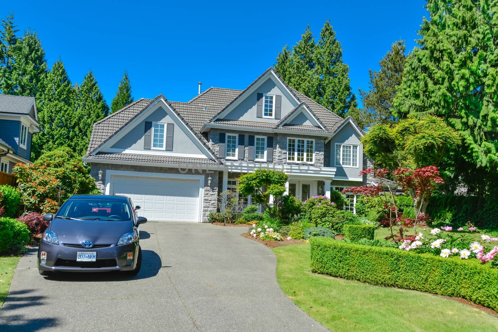 Luxury residential house with green hedge and landscaping in front. Family house surrounded by trees with blue sky background. Suburban house with double garage and car parked on concrete driveway