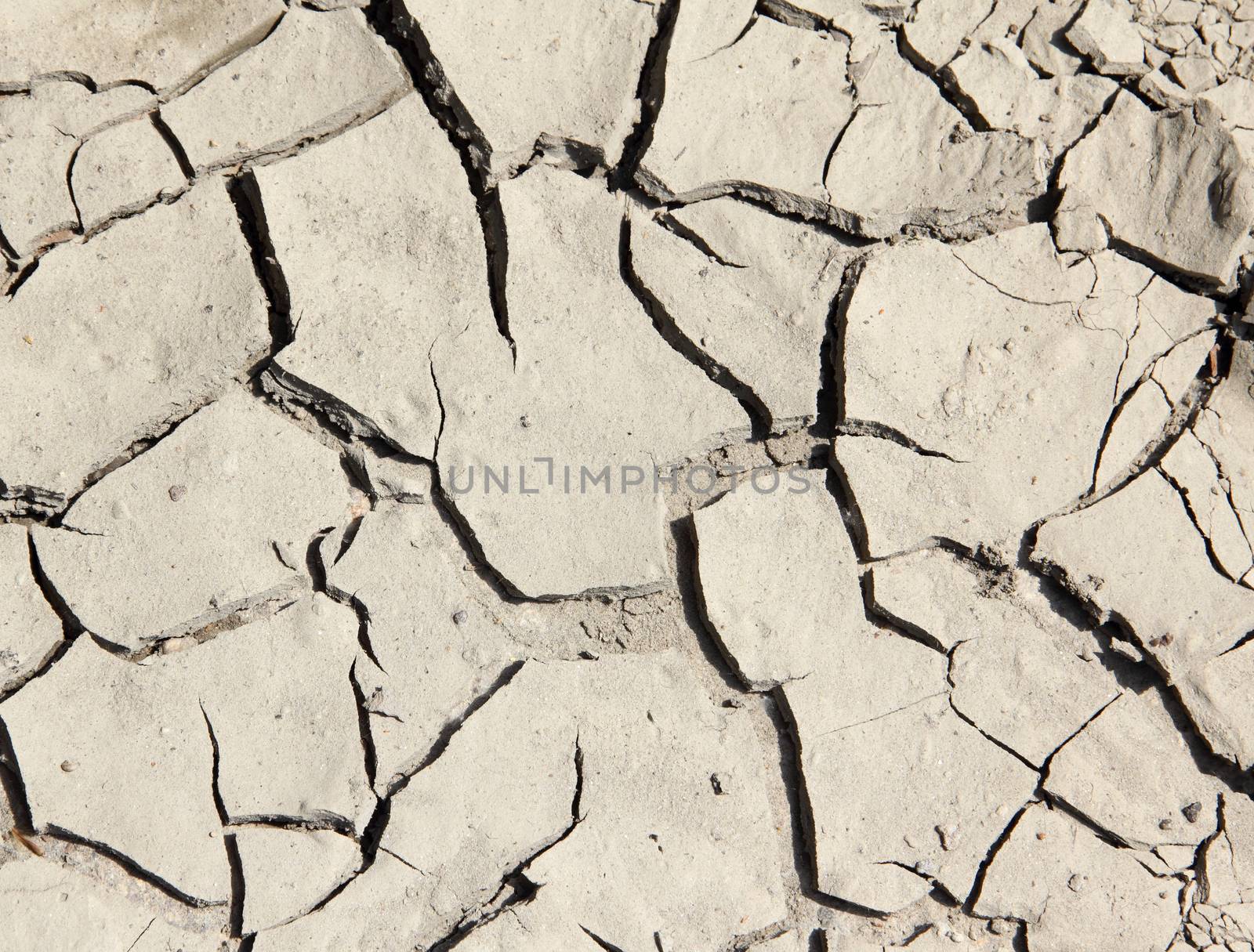 Close-up of dried up soil.