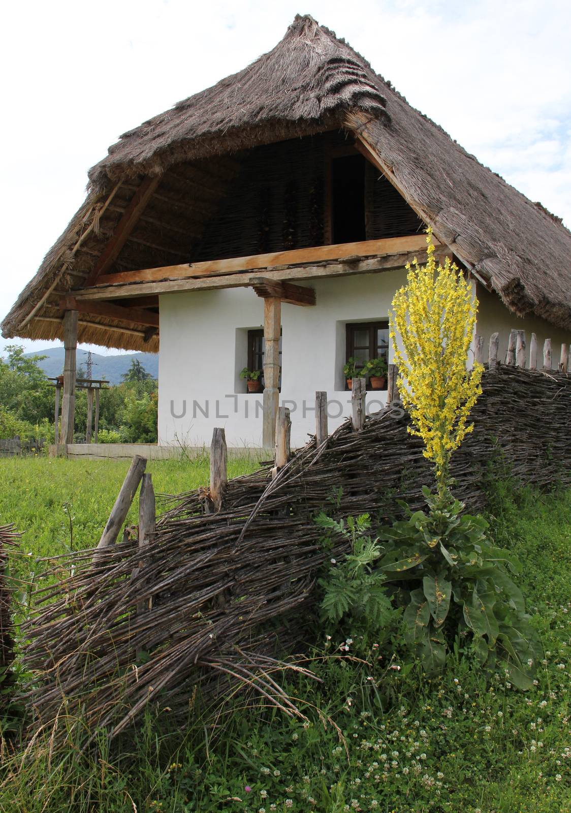 Country house with wicker cane fence.