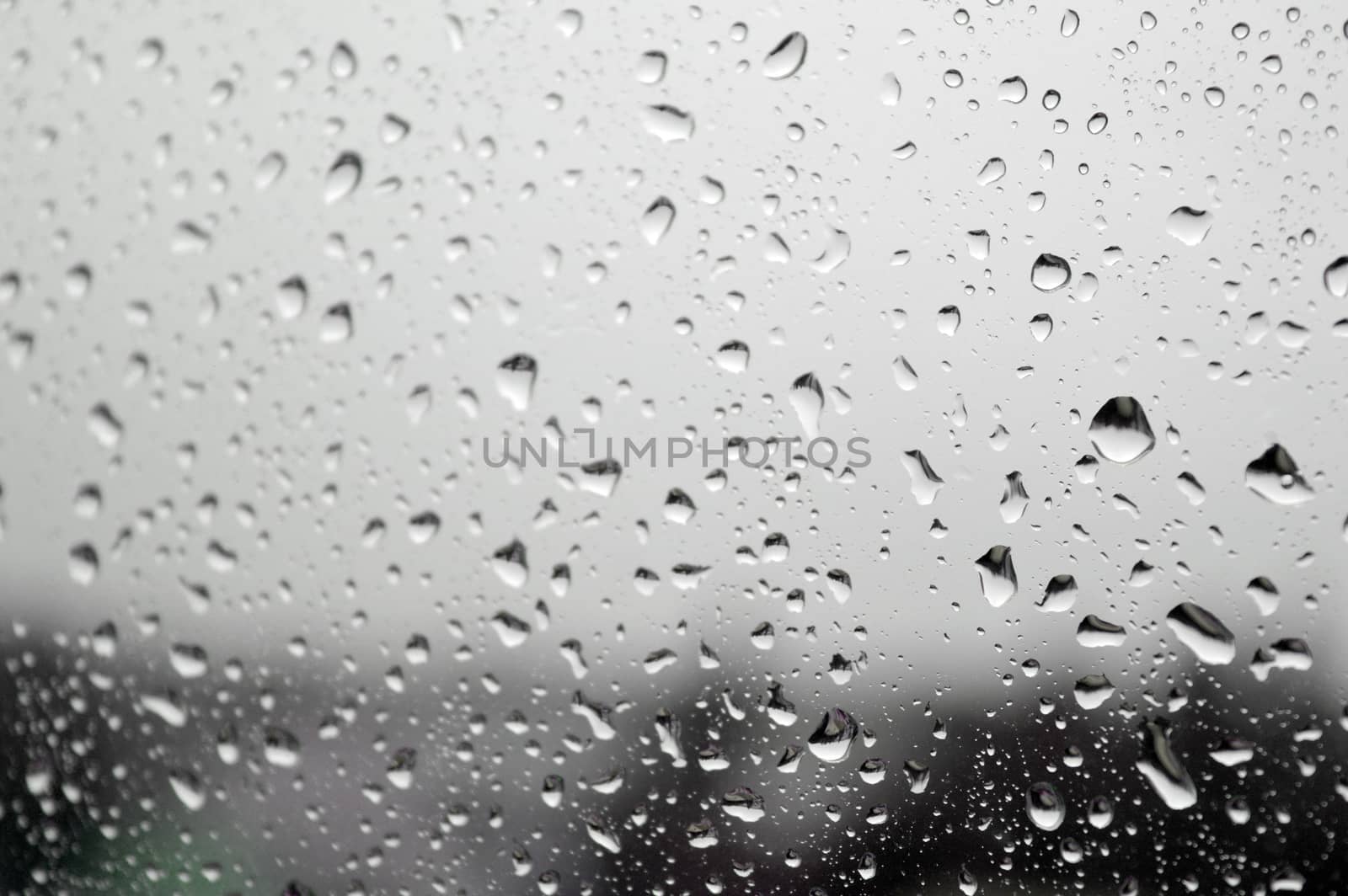 Drops of rain on the window, shallow dof.