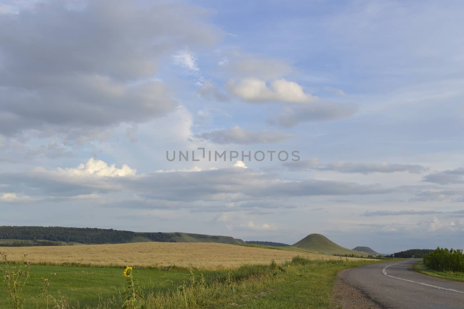 summer landscape by sergpet