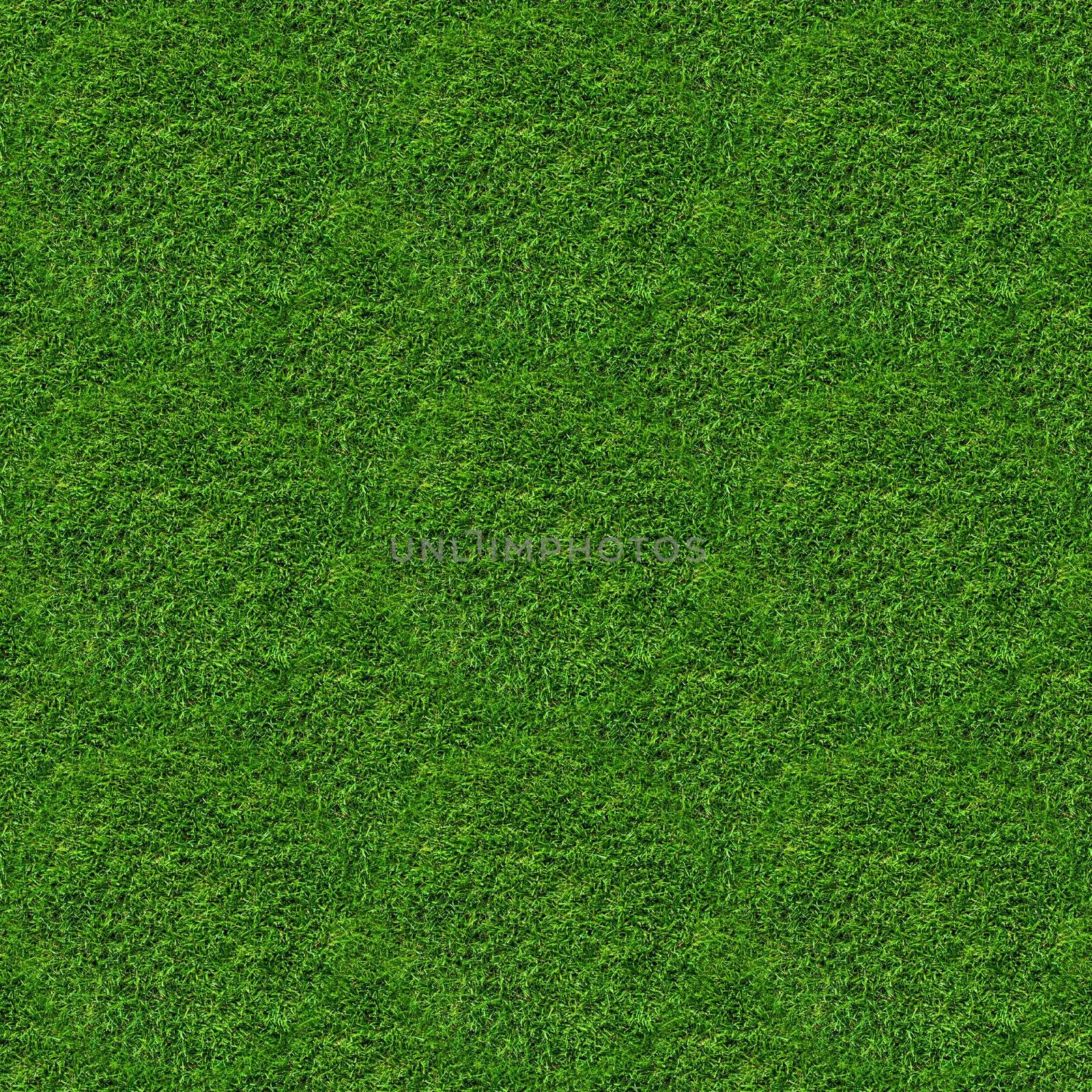 green landscaped lawn as background or wallpaper. seamless texture by Edophoto