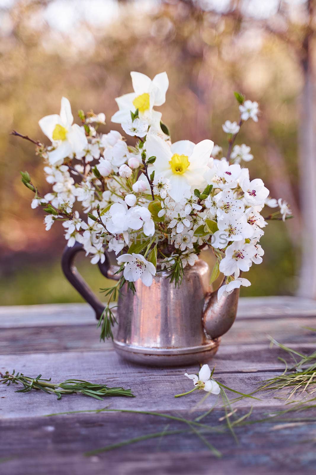 Steel kettle with sprigs of cherry blossoms, pears and apple trees on a natural blurred background. High quality photo