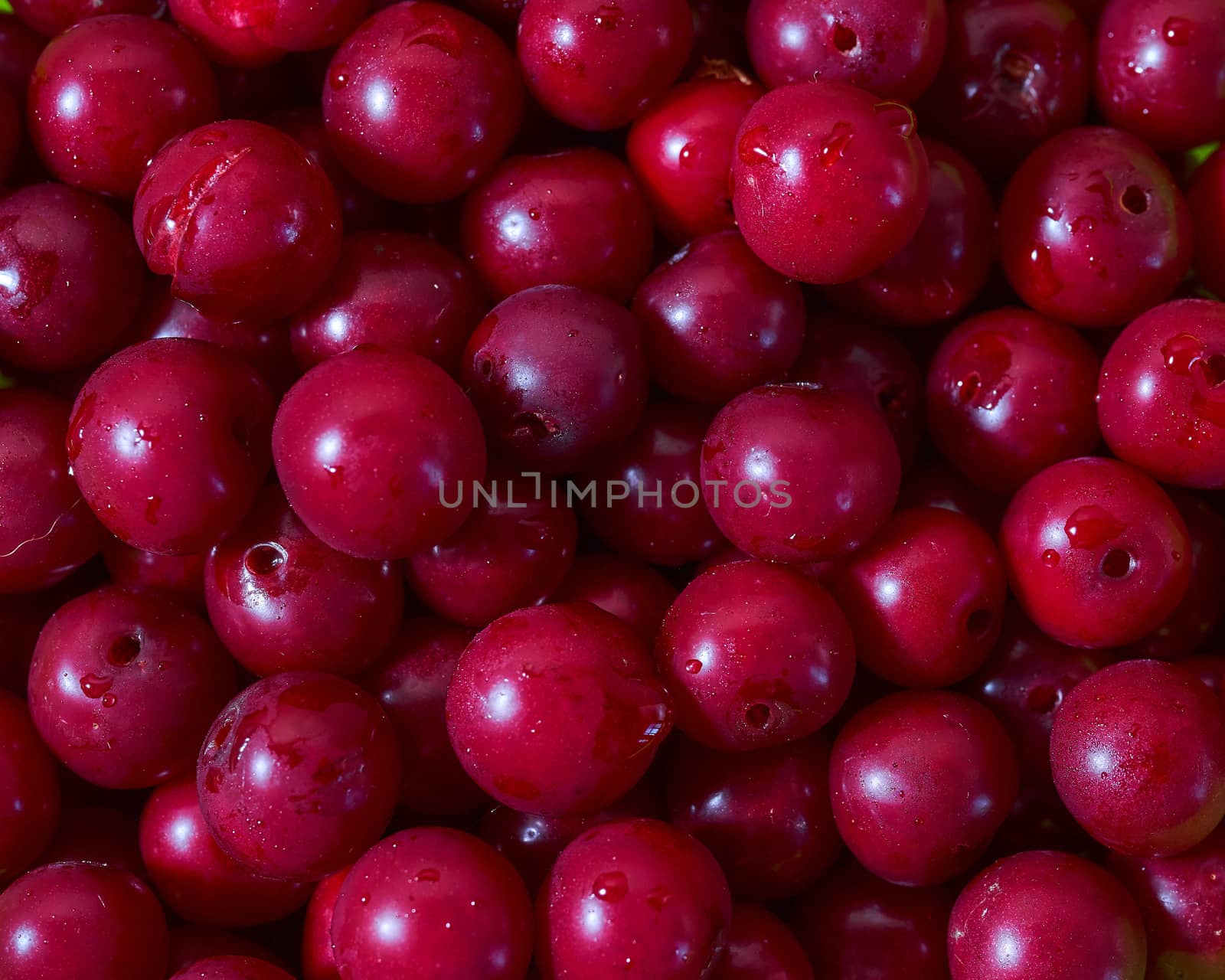 Juicy ripe red cherry. Close-up.Advertising photo. High quality photo