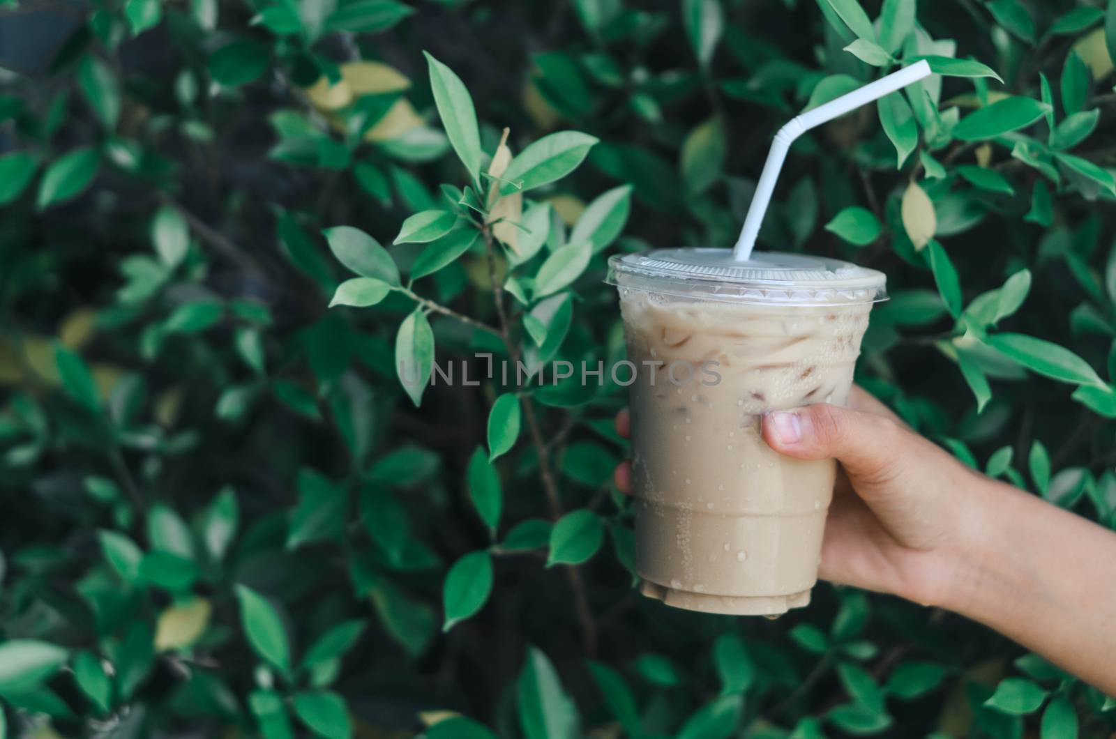 Close up hand holding glass of ice americano coffee with green leaves nature background, selective focus