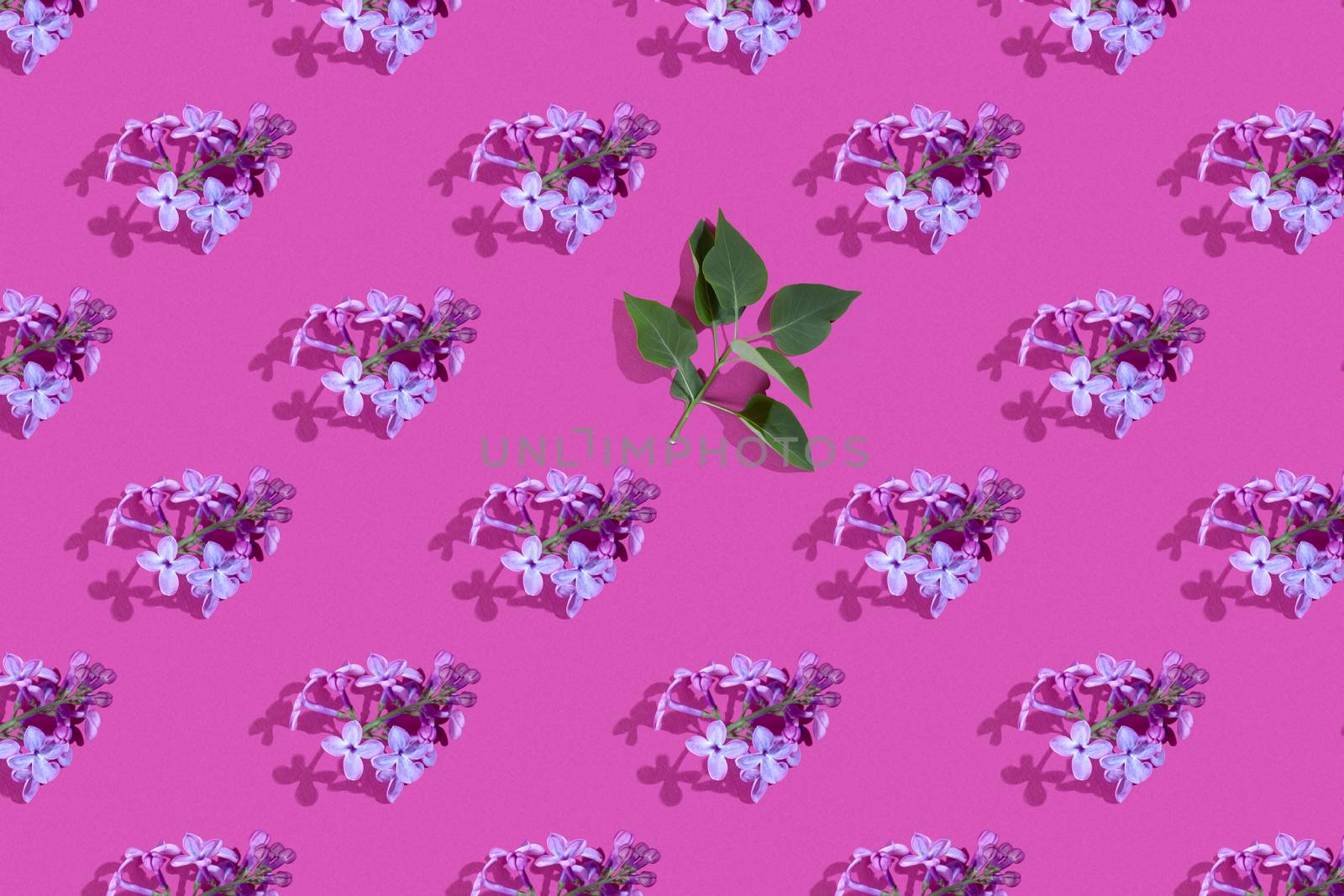Trendy isometric Seamless continuous pattern with spring lilac flowers and green leaf. Minimalist concept. Space for text