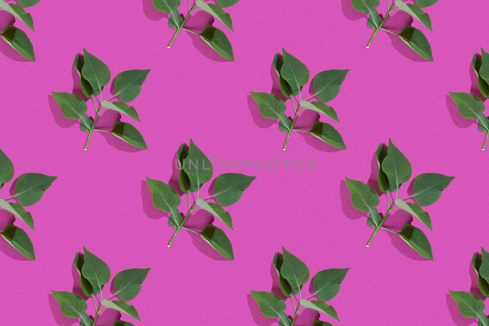Trendy isometric Seamless continuous pattern with spring lilac leaf. Minimalist concept. Space for text by polyats