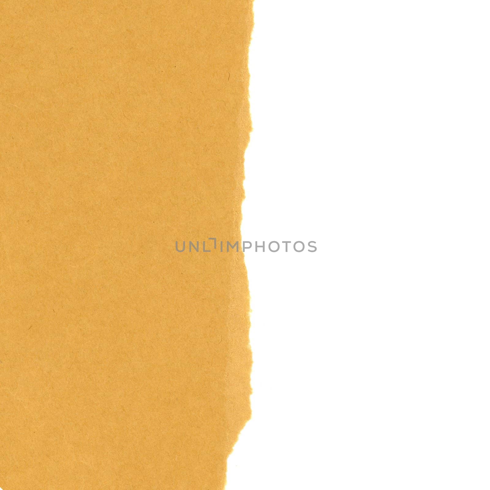 light brown paper texture background by claudiodivizia