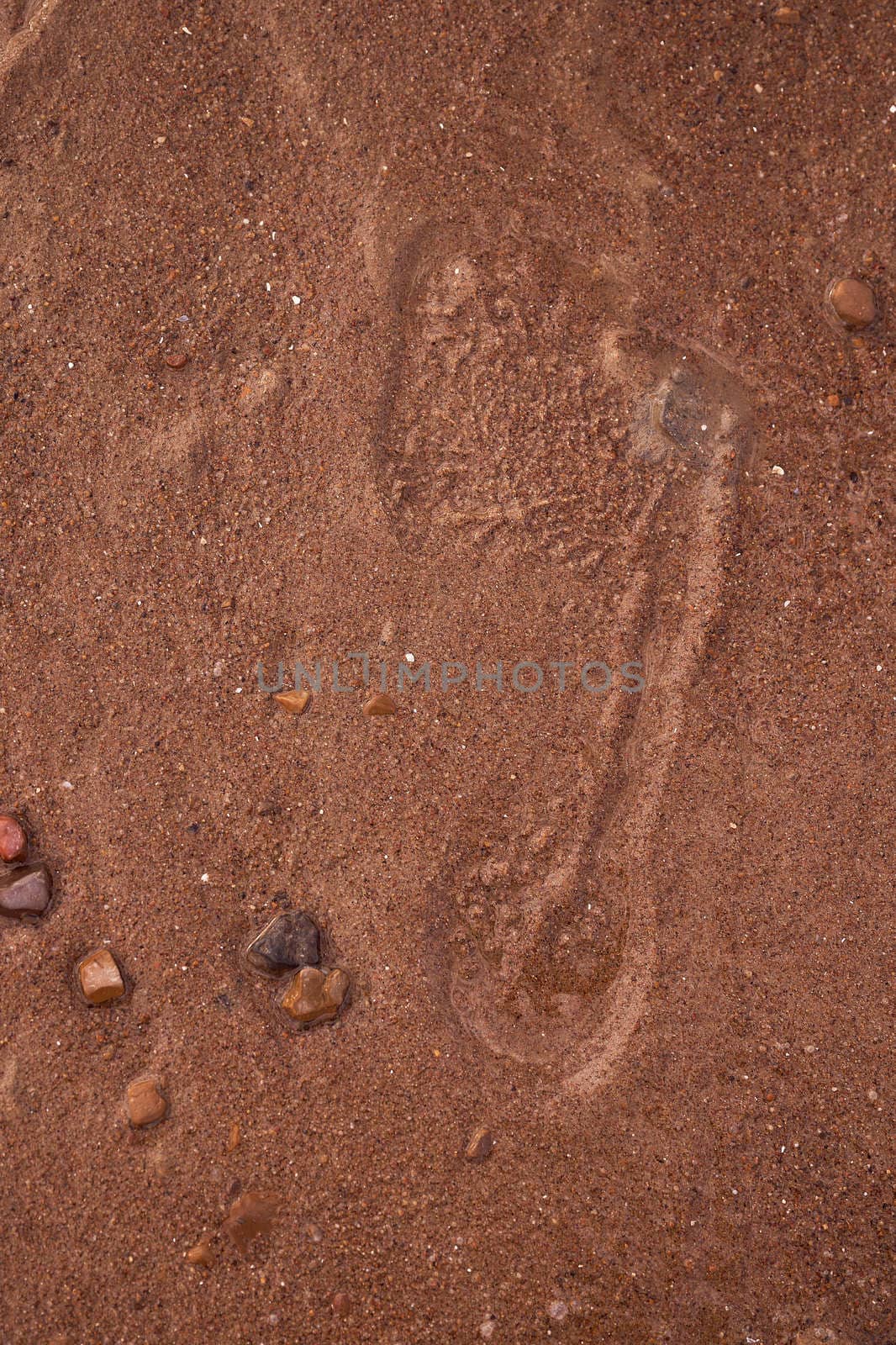 trace of the human foot on the sand. High quality photo