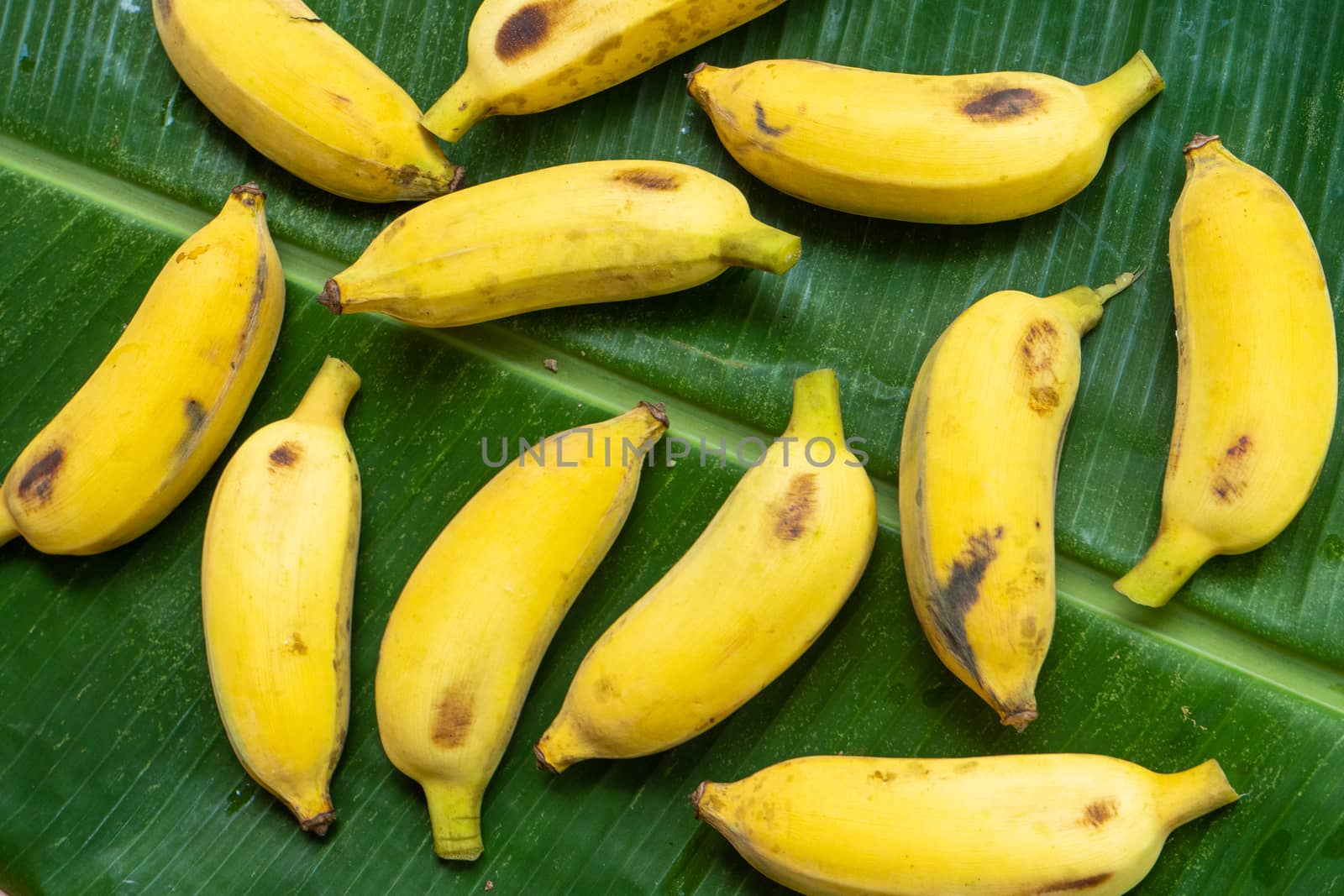 Flat lay layout of yellow bananas on a green banana leaf. Eco food by Try_my_best