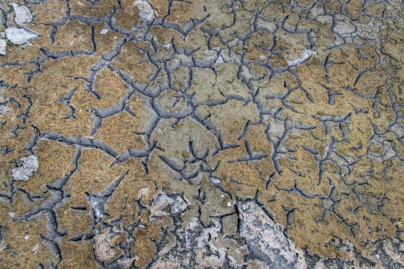 A barren land that is shattered for background and textured. drought from global warming. Ecology concept.