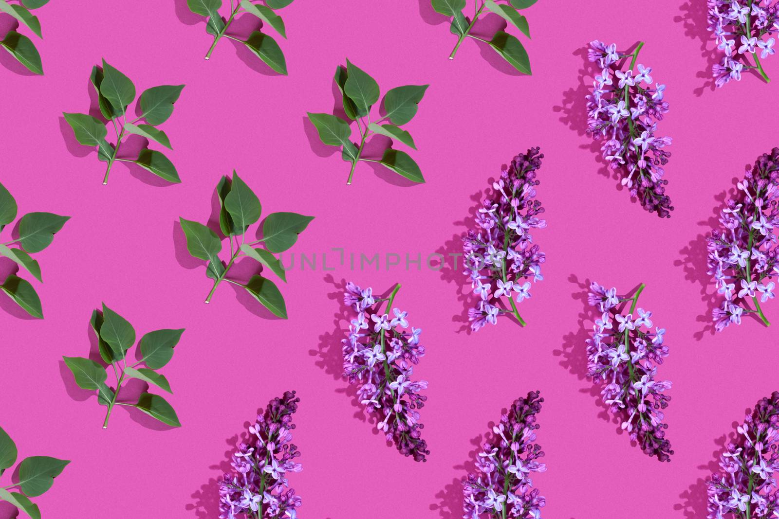 Trendy isometric Seamless continuous pattern with spring lilac flowers and green leaf. Minimalist concept. Space for text