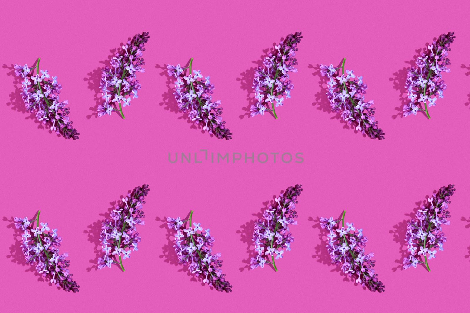 Trendy isometric Seamless continuous pattern with spring lilac flowers and green leaf. Minimalist concept. Space for text