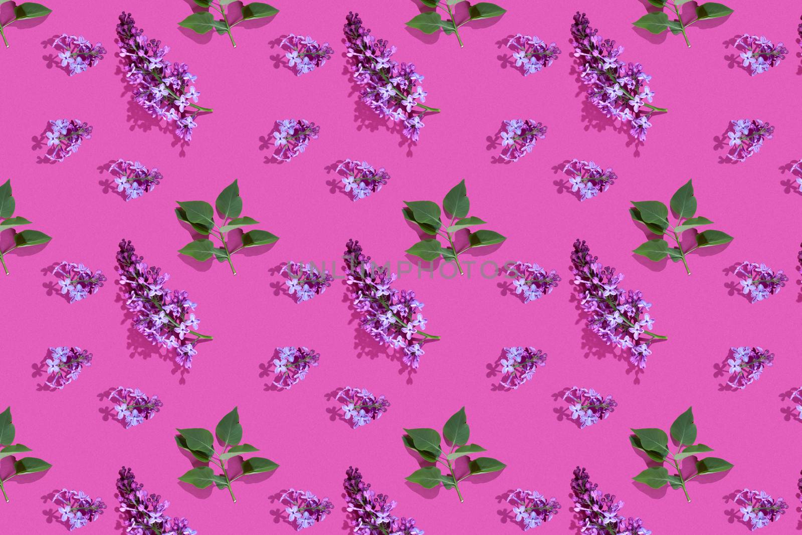 Trendy isometric Seamless continuous pattern with spring lilac flowers and green leaf. Minimalist concept. Space for text