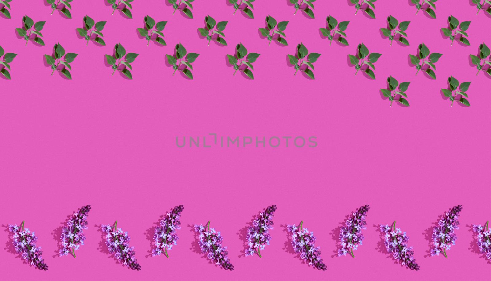 Trendy isometric Seamless continuous pattern with spring lilac flowers and green leaf. Minimalist concept. Space for text