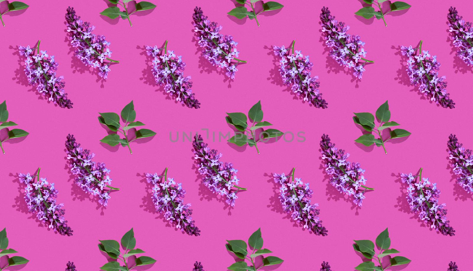 Trendy isometric Seamless continuous pattern with spring lilac flowers and green leaf. Minimalist concept. Space for text