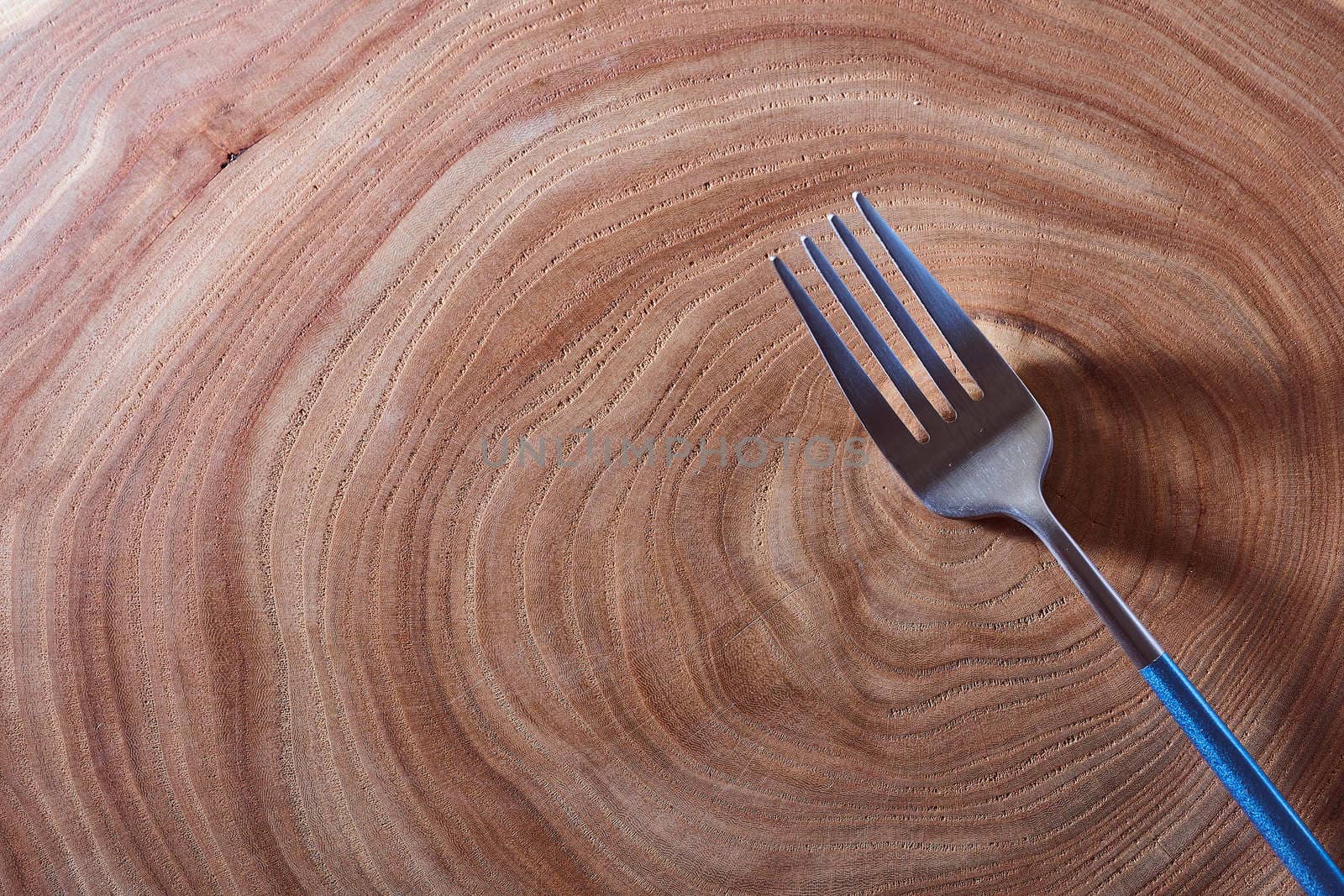 The silver fork lies on a slice of a tree. wooden table. High quality photo