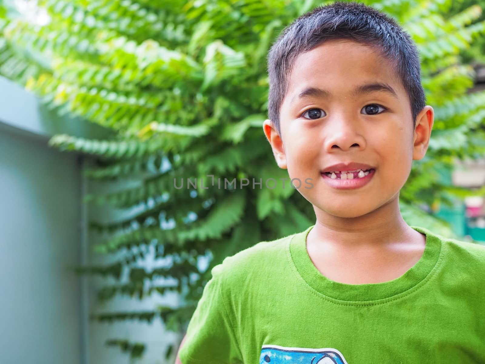 Portrait of a boy Wearing a green shirt With a green tree backgr by Unimages2527