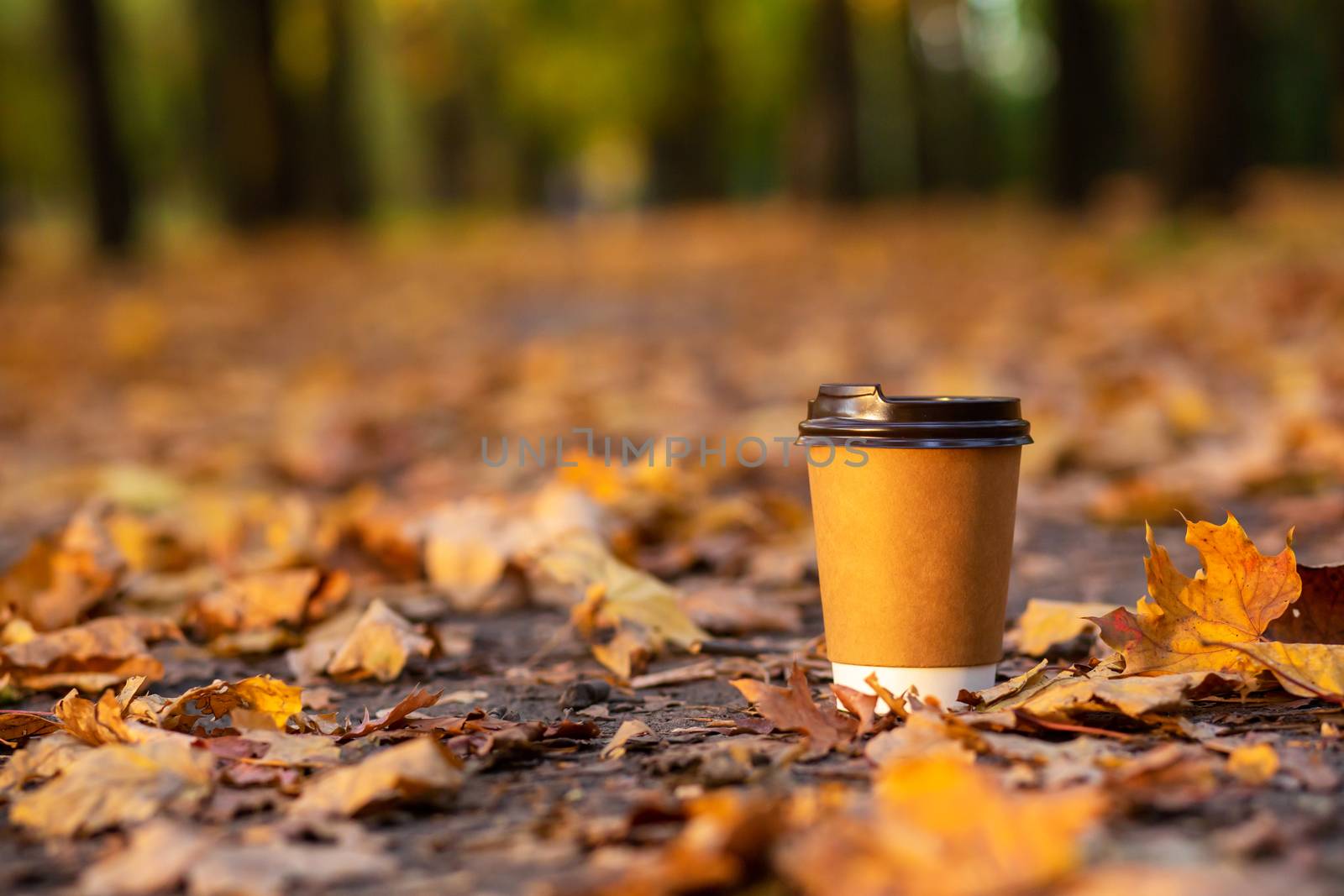 Walk with a cup of hot cocoa in the autumn park. Craft cup of coffee on the road with yellow fallen leaves.