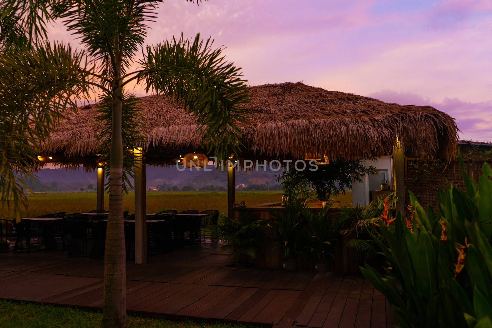 Beautiful pink sunset in the tropics. Street canopy from hay, kitchen area with rice field view.