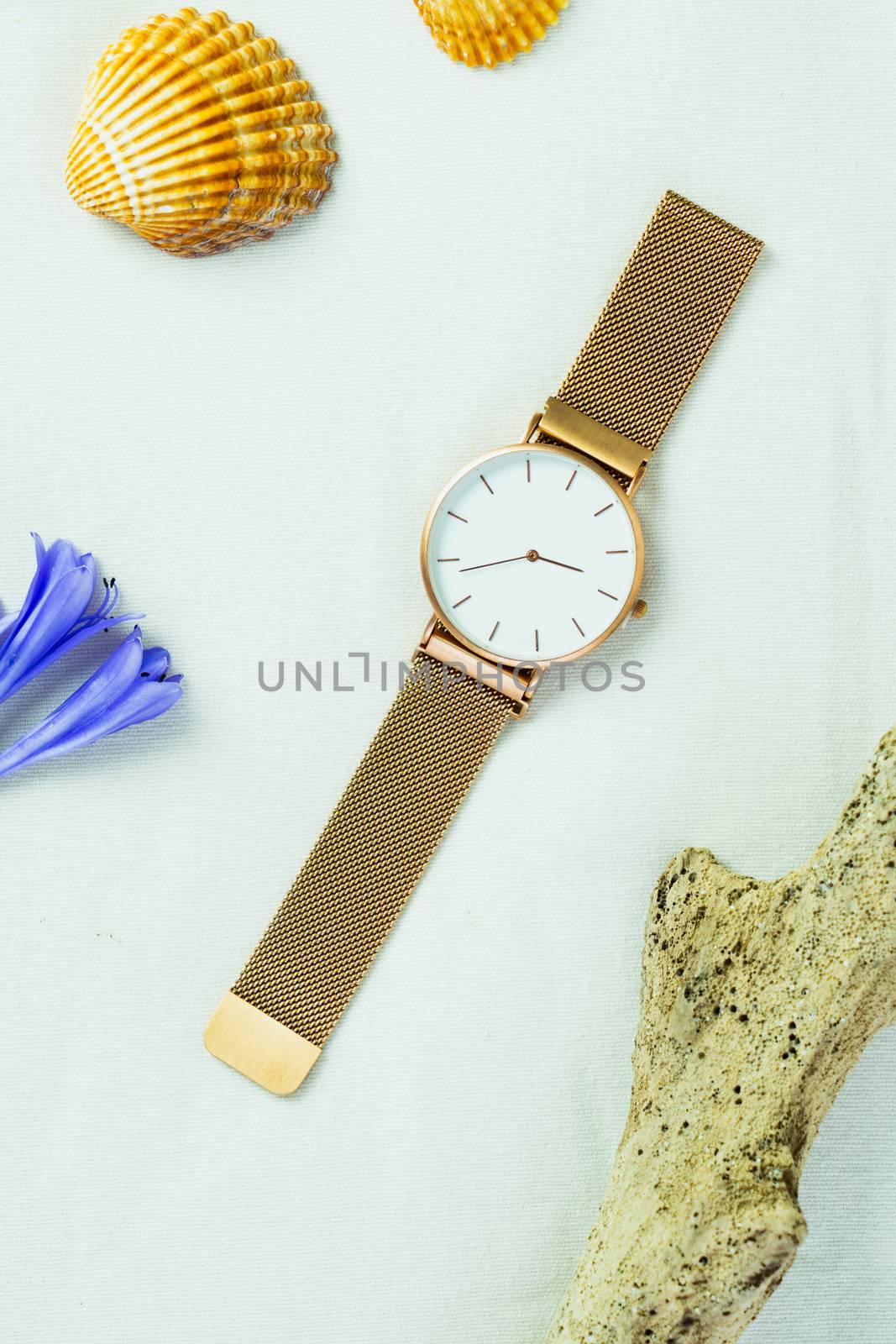 Closeup minimal fashion wristwatch for unisex on white background with flowers