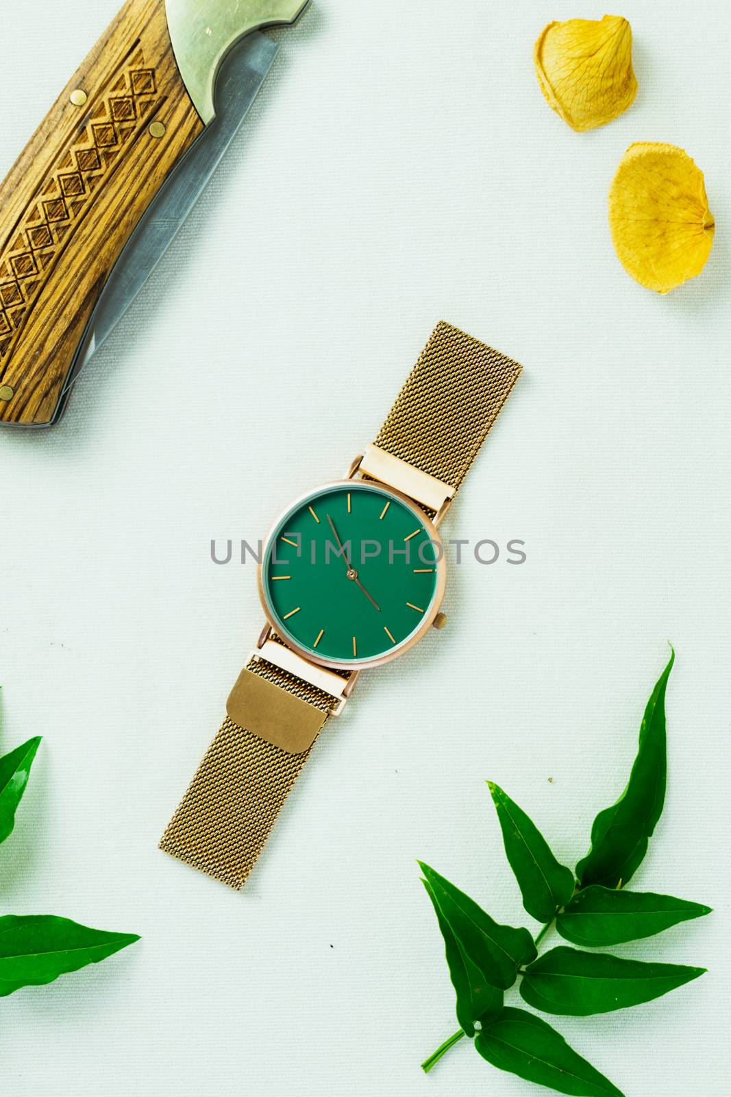 Closeup minimal fashion wristwatch for unisex on white background with flowers