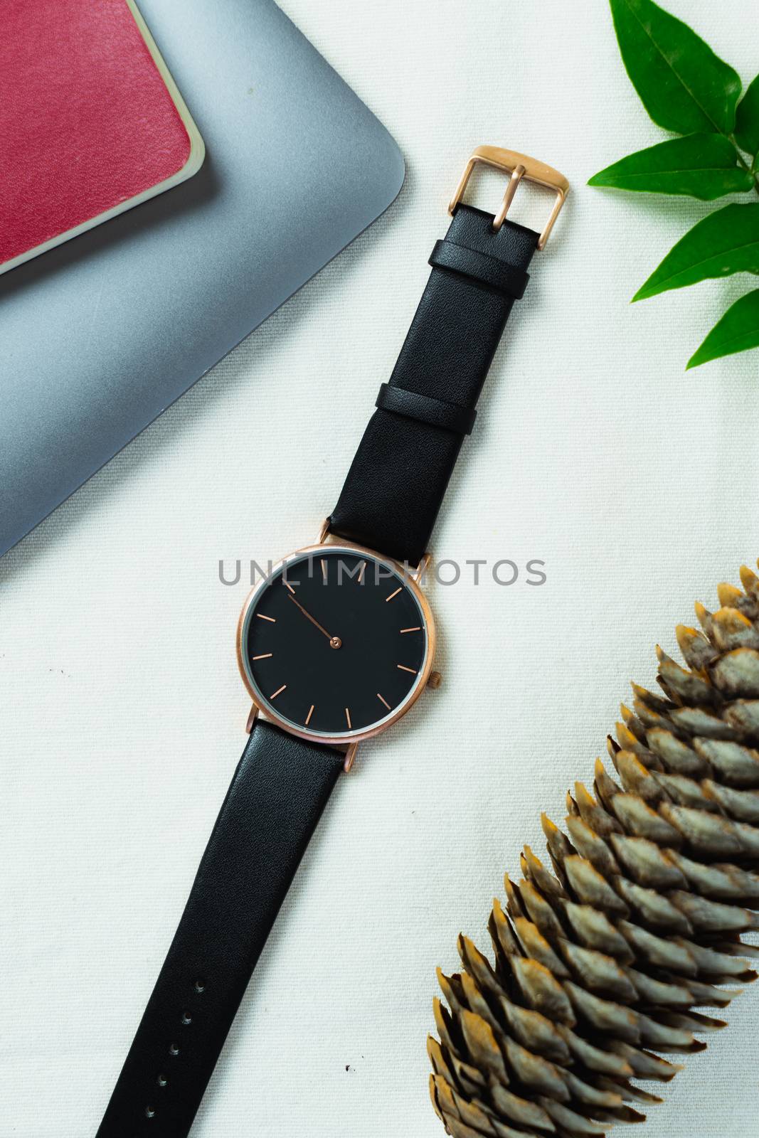 Closeup minimal fashion wristwatch for unisex on white background with flowers and computer