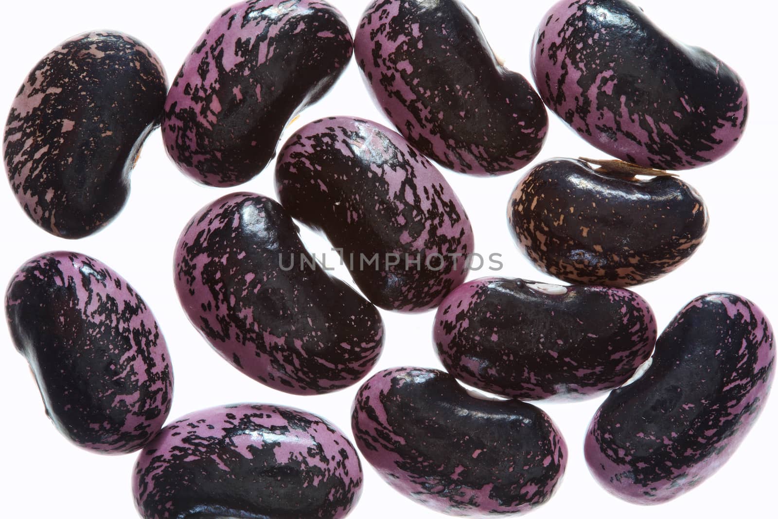 Scarlet Runner beans ( Phaseolus coccineus) red flower seeds background isolated on a white background stock photo