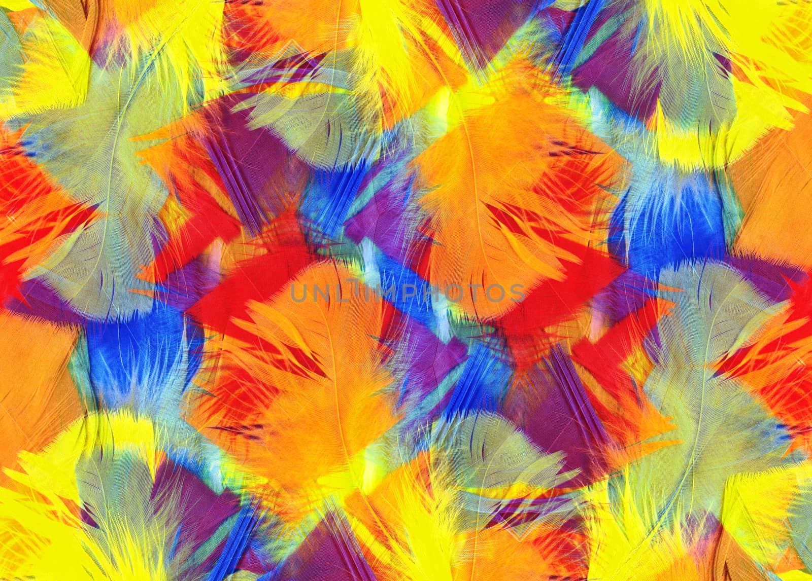 Multi coloured abstract feathers texture background stock photo