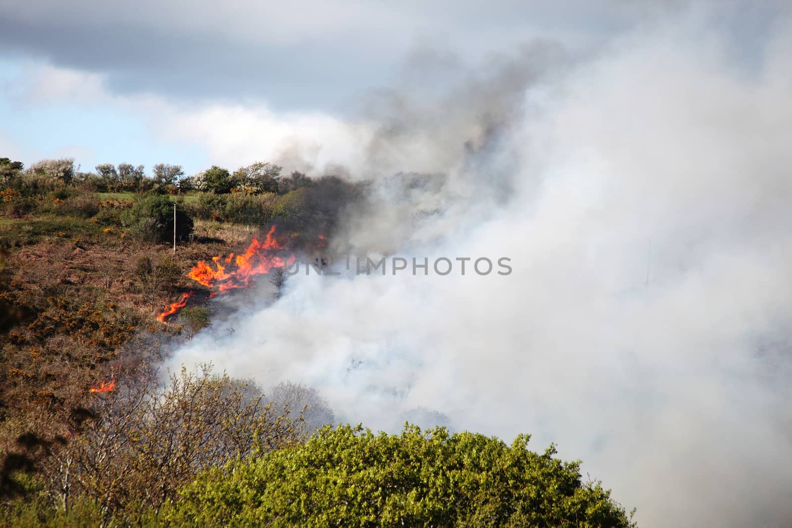 Grass fire smoke in a hot dry summer caused by vandalism burning in a field in Wales UK stock photo