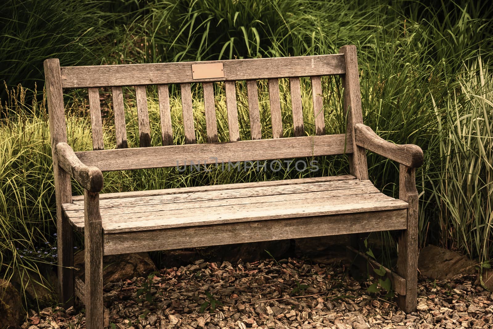 Vacant antique bench. Conception of nostalgia and loneliness. Alone grunge, old-fashioned furniture for sitting. Conceptual photography of solitude sadness and calmness. Melancholy scene at springtime