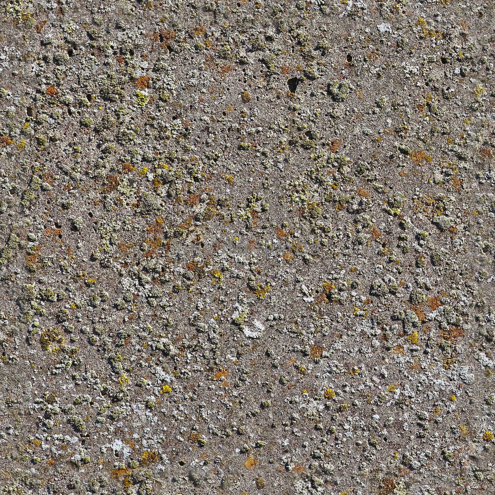 Photo realistic seamless texture of a tileable concrete wall with high details