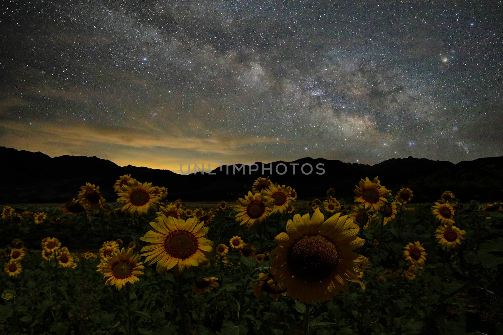 Night Sky Landscape Image of the Stars in the Universe