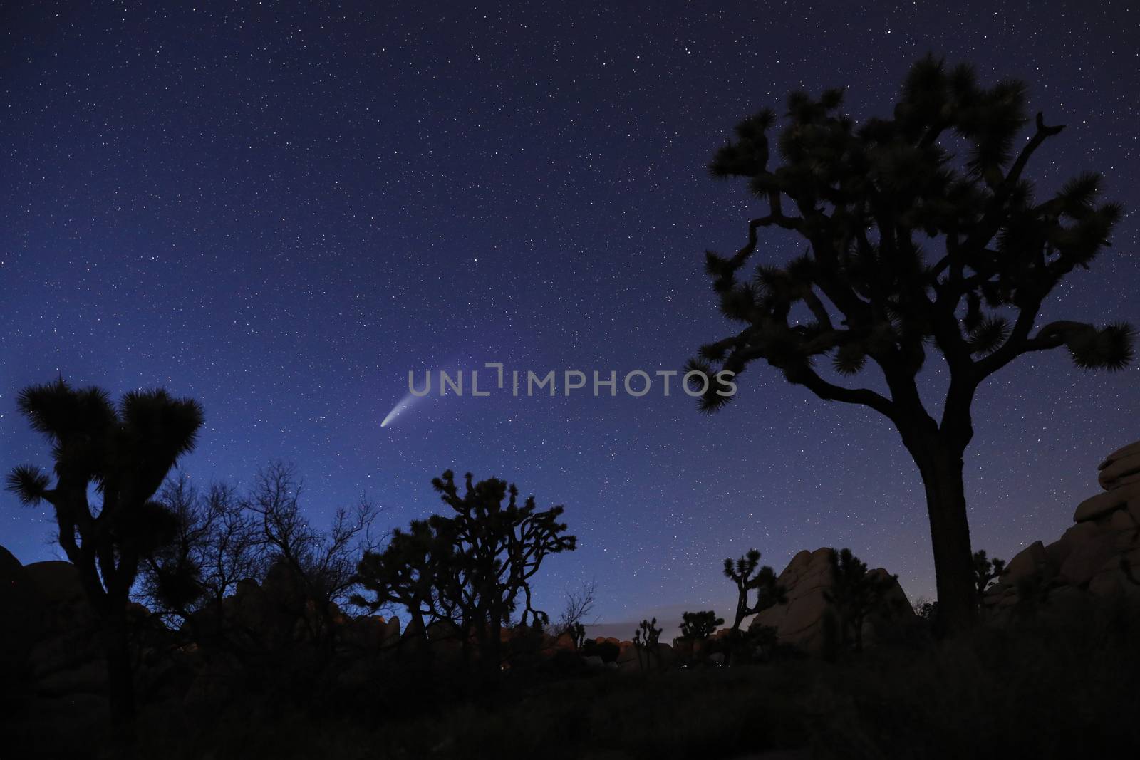 Night Sky Landscape Image of the Stars in the Universe