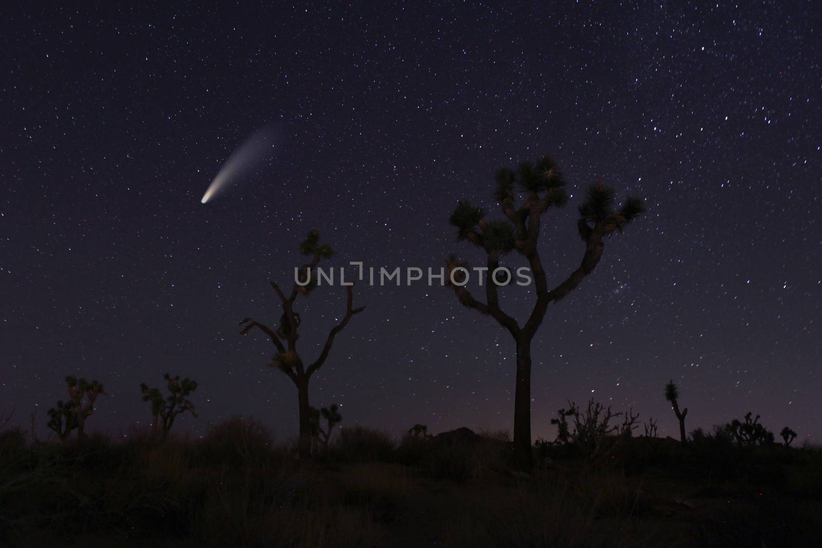 Night Sky Landscape Image of the Stars in the Universe