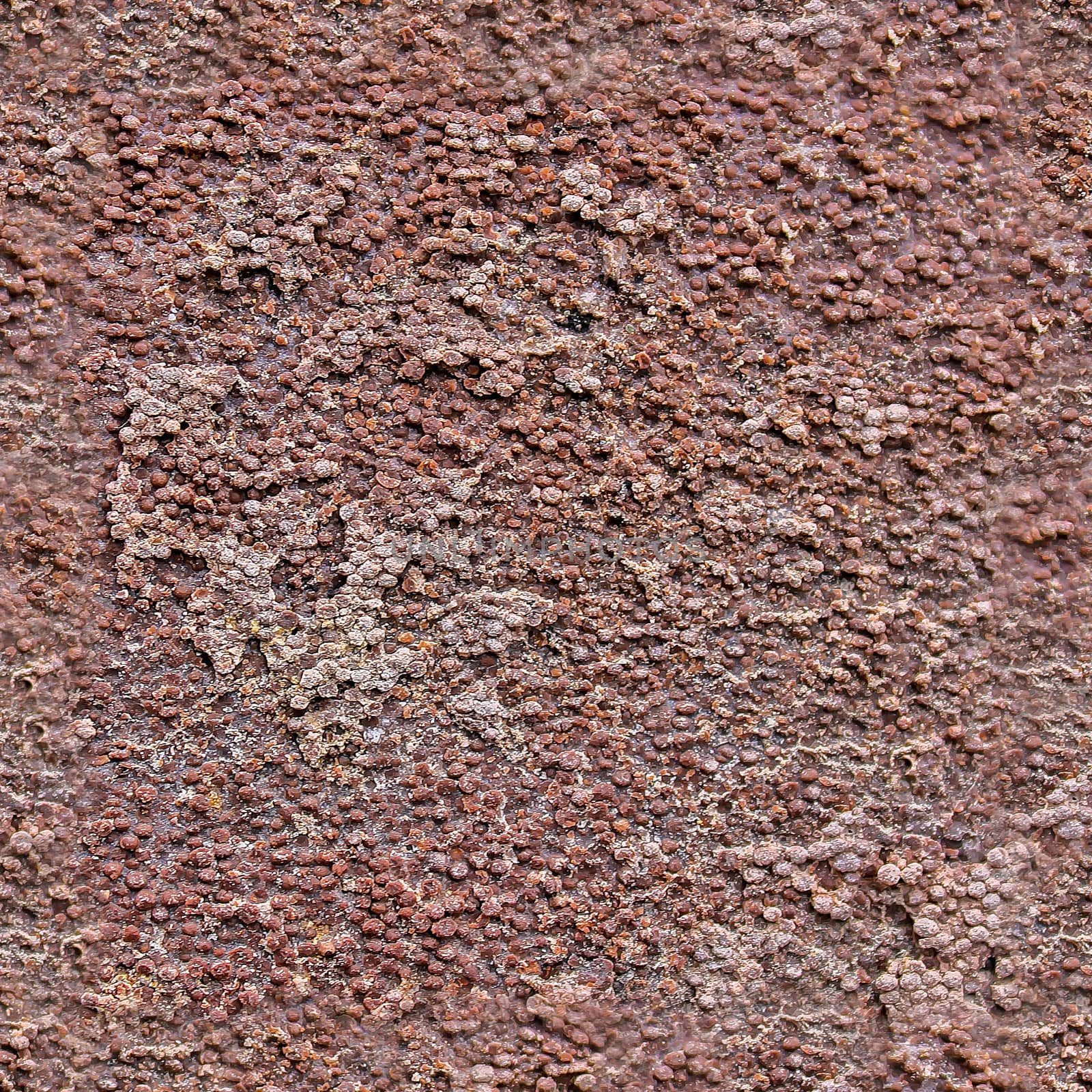 Photo realistic seamless texture of a tileable concrete wall with high details