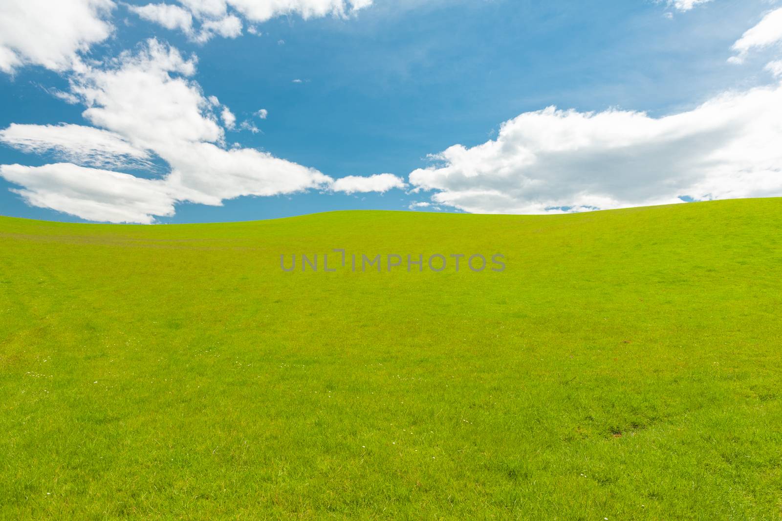 Green fresh spring field and a blue sky by fyletto