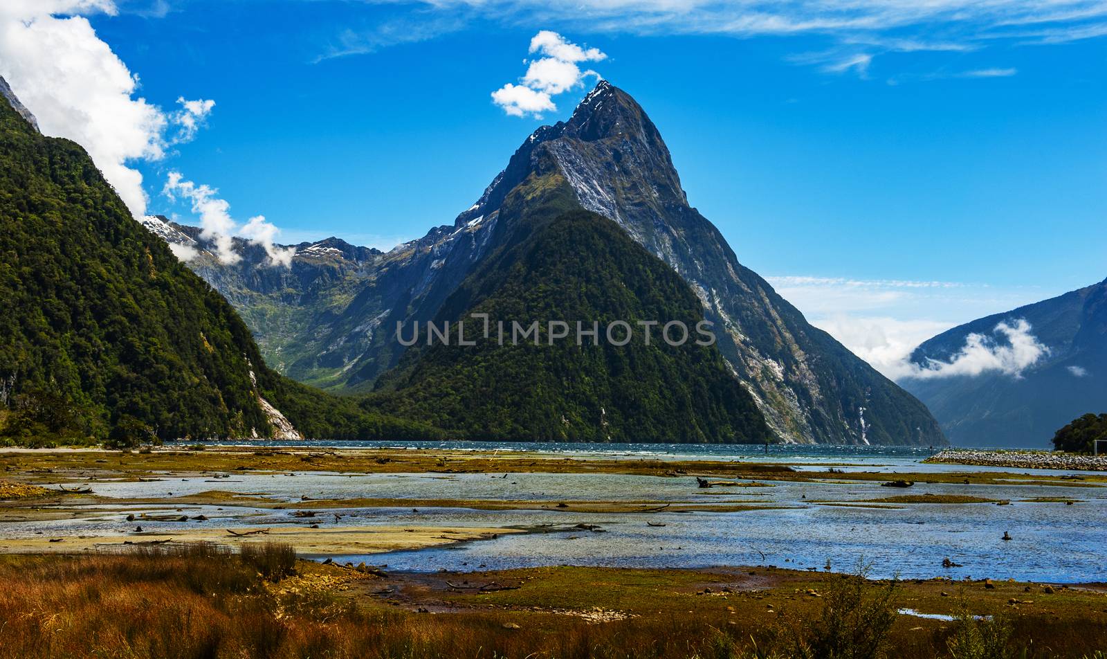 Low Tide in Milford Sound in New Zealand by fyletto
