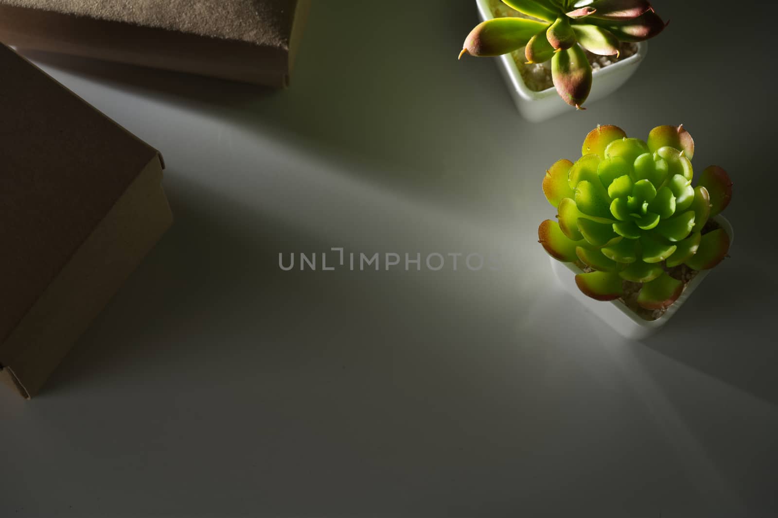 Flowers and a small paper box placed on the desk, with slight morning light shining, blurred backgrounds with copy space.