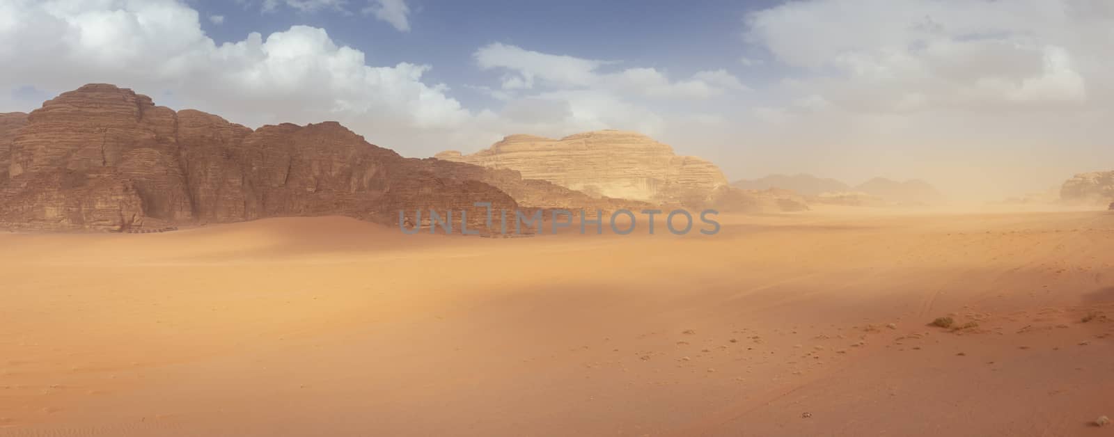 Wadi Rum protected area in Jordan, panorama landscape of the desert and rock formation by kb79