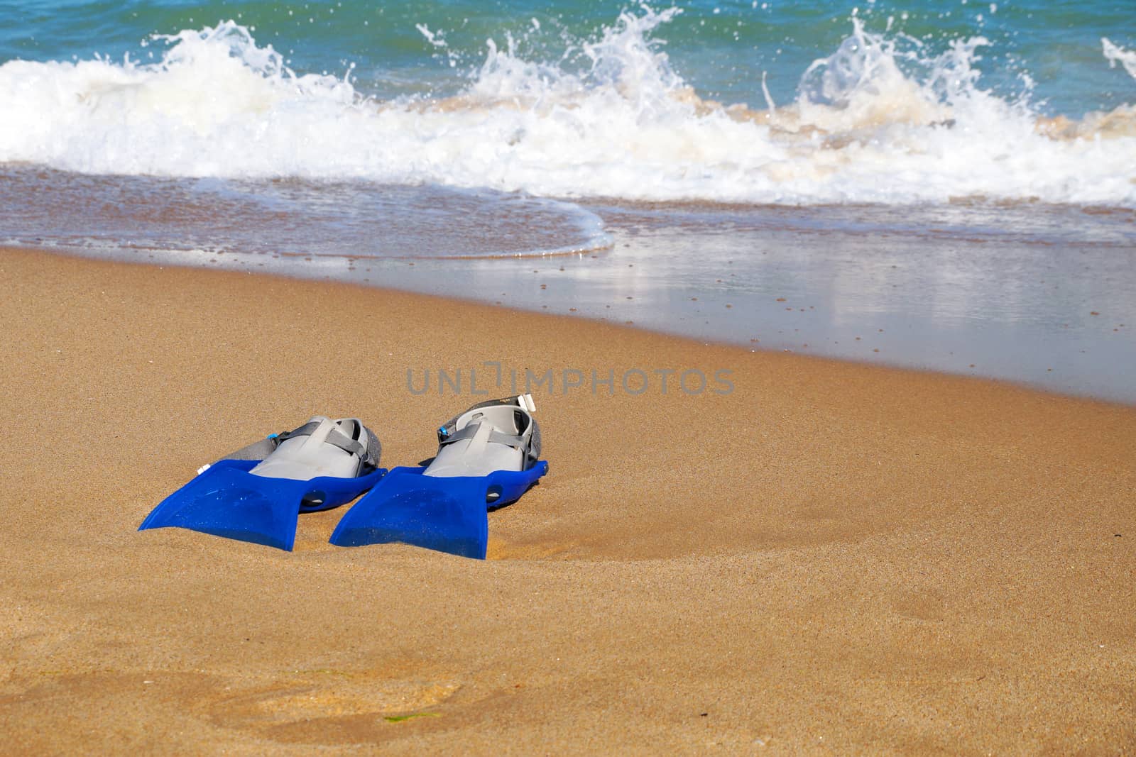 flippers on the sand against the background of the sea, copy space