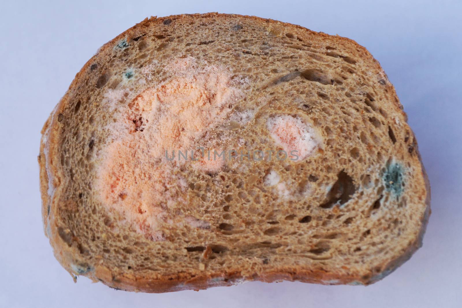 a piece of moldy bread on a white background